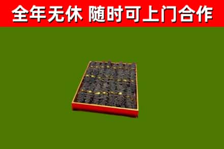 牟定回收海参